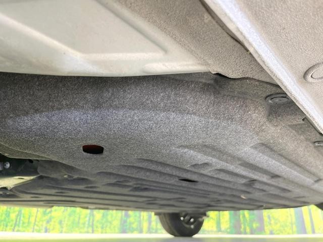 25652791_carP_l_16.jpg