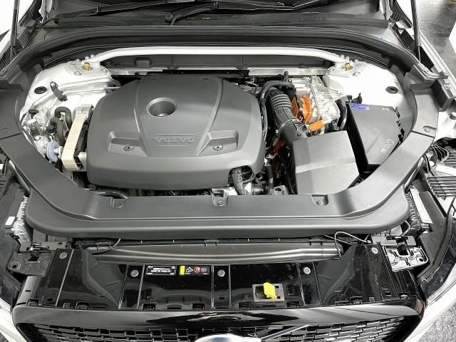 23226672_carP_l_17.jpg