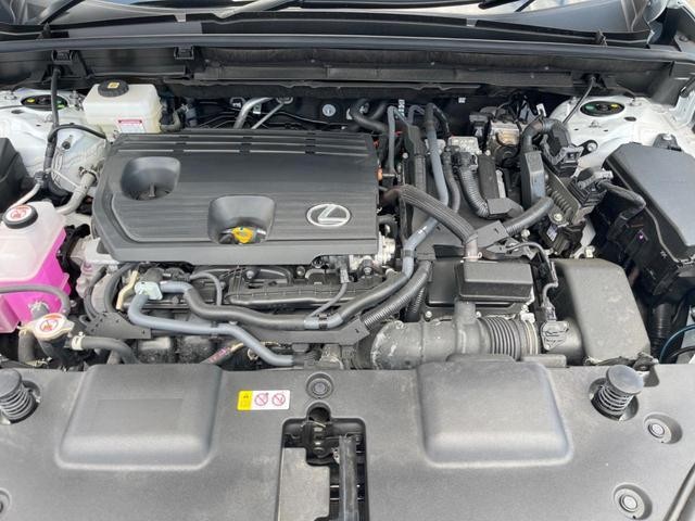 25199366_carP_l_16.jpg