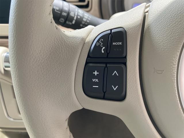 23784439_carP_l_6.jpg