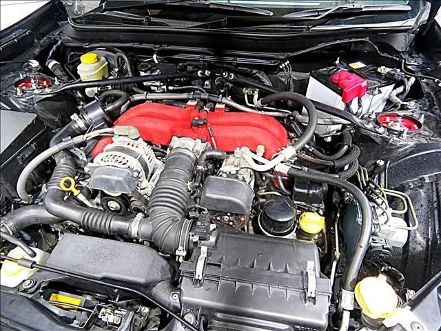 24866444_carP_l_20.jpg