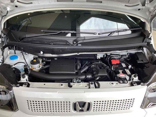 23410768_carP_l_20.jpg