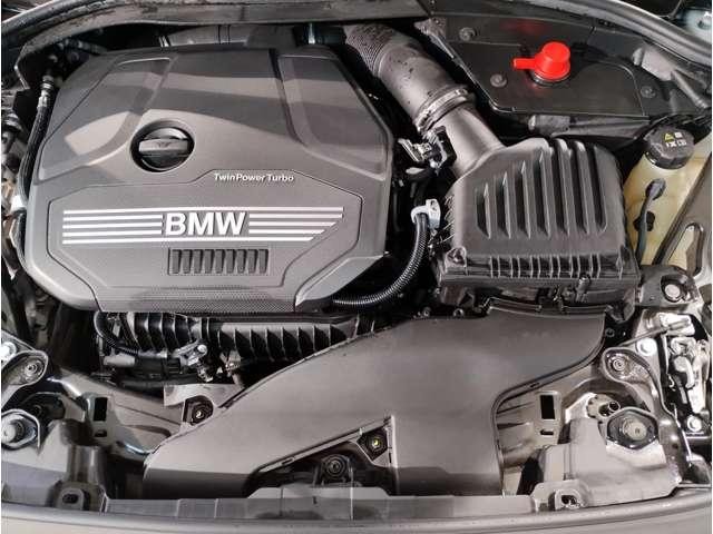 26270044_carP_l_6.jpg