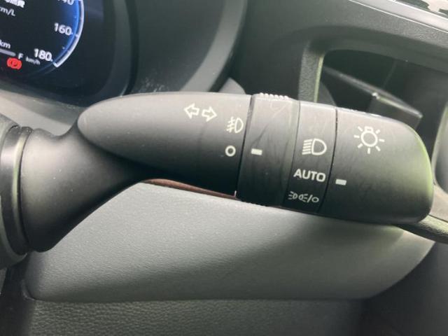 22785719_carP_l_11.jpg
