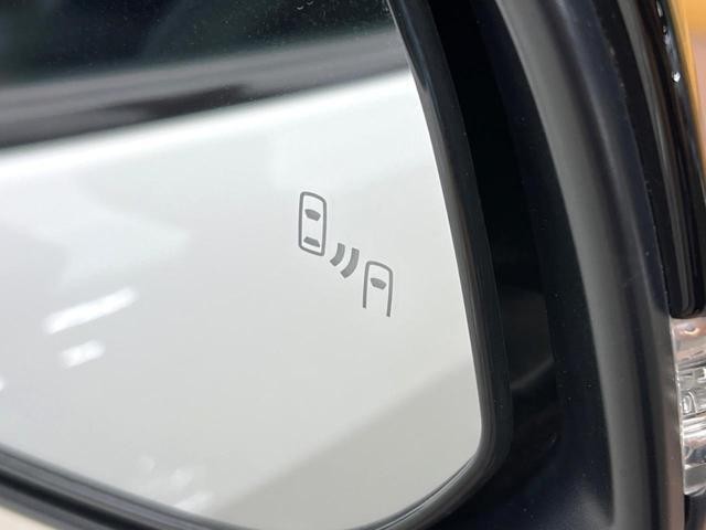 24440928_carP_l_14.jpg