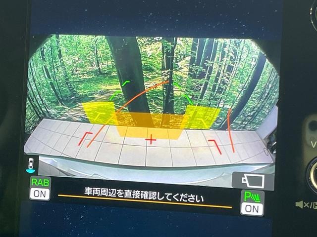25904150_carP_l_4.jpg