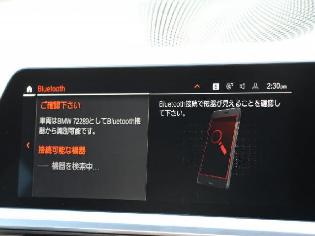 26968939_carP_l_13.jpg