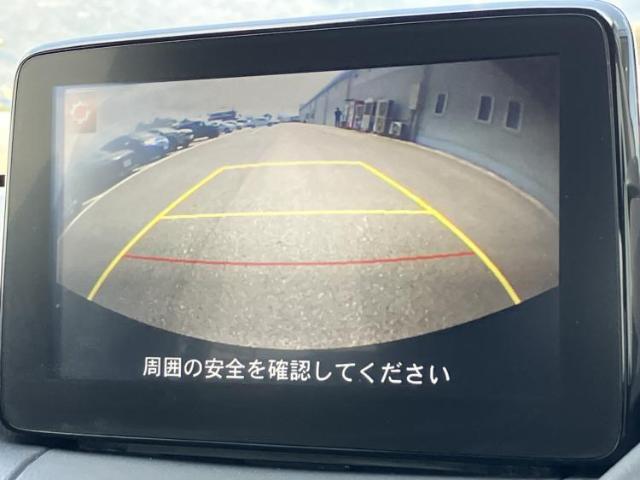 23116896_carP_l_6.jpg