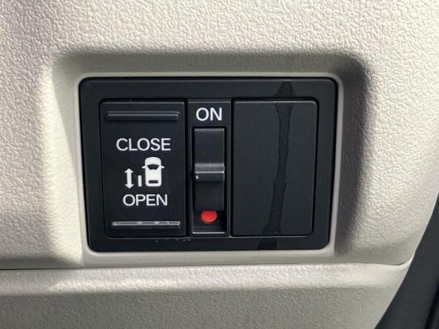 23238576_carP_l_8.jpg