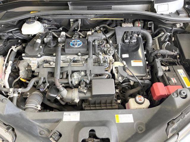 26251503_carP_l_16.jpg