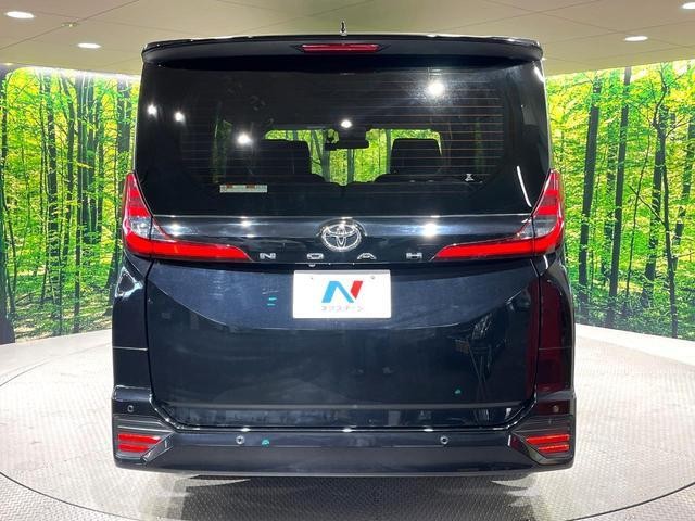 24280050_carP_l_9.jpg