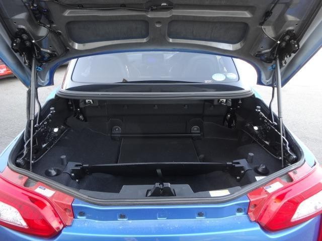 23257212_carP_l_17.jpg