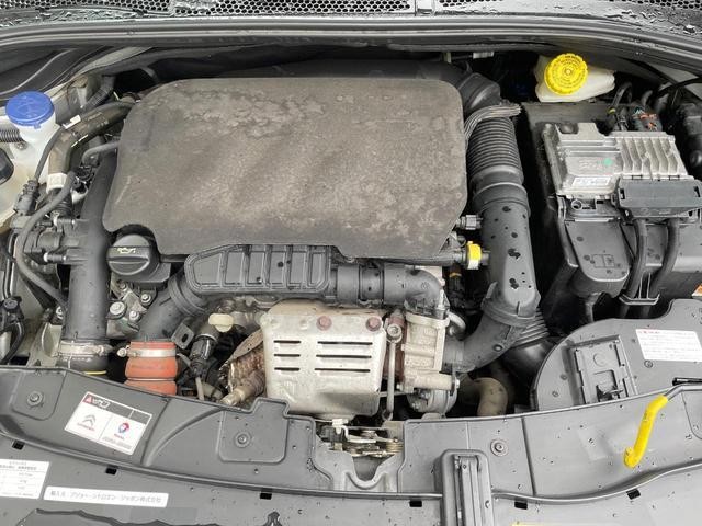 26251619_carP_l_16.jpg
