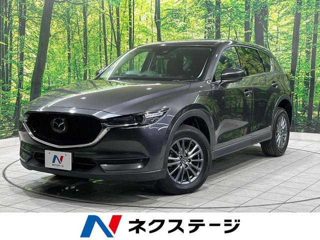 25220698_carP_l_1.jpg