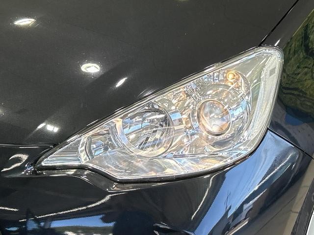 26043844_carP_l_6.jpg