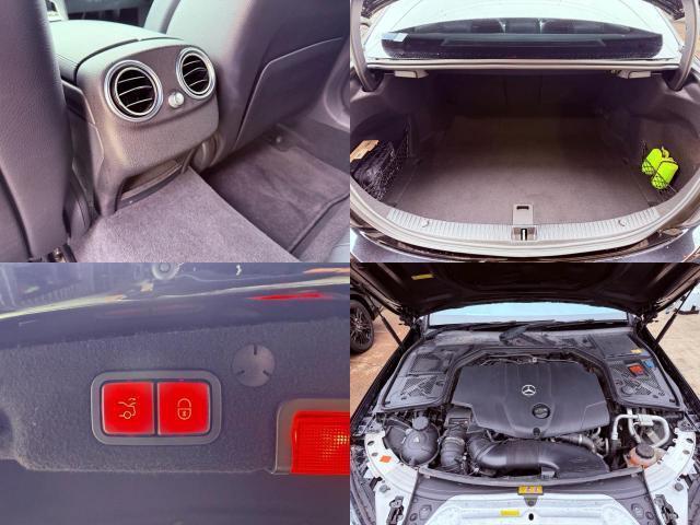 24244818_carP_l_9.jpg