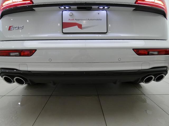 24994156_carP_l_13.jpg
