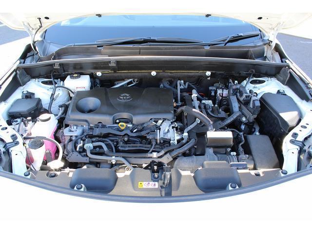 22673989_carP_l_18.jpg