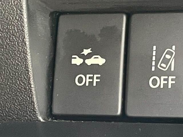 22328834_carP_l_13.jpg