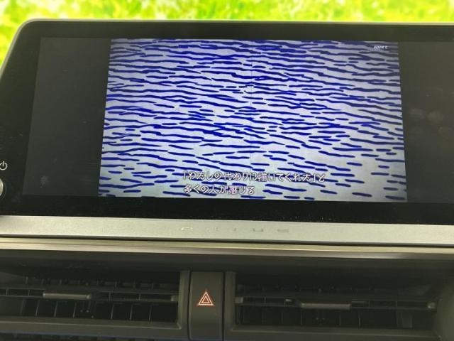 23117303_carP_l_7.jpg