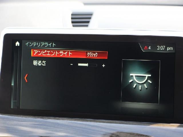 26978518_carP_l_17.jpg