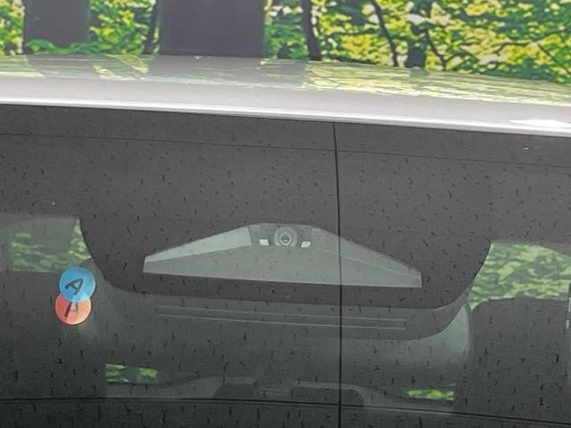 25446102_carP_l_15.jpg