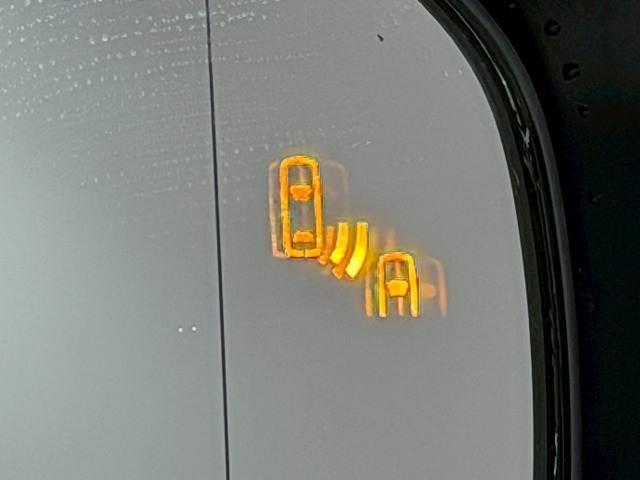 22538874_carP_l_19.jpg