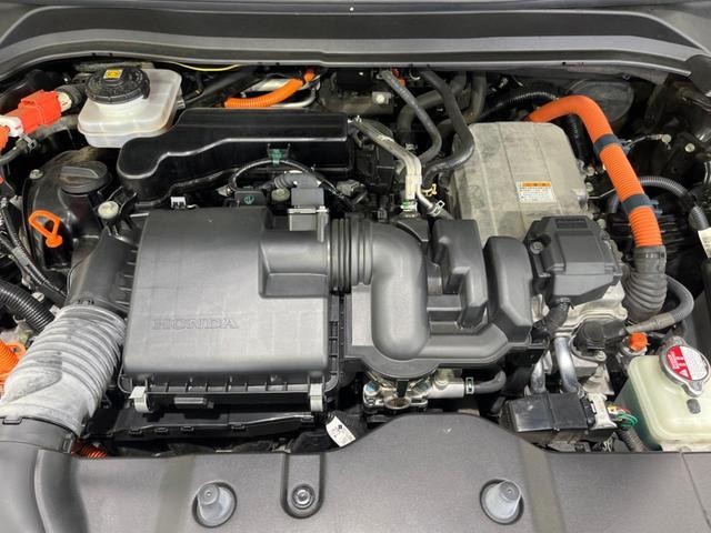 26731707_carP_l_18.jpg