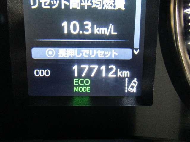 21586248_carP_l_6.jpg