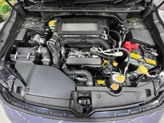 23945465_carP_l_20.jpg