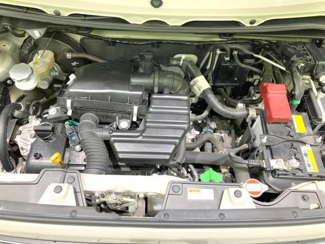 24665090_carP_l_16.jpg