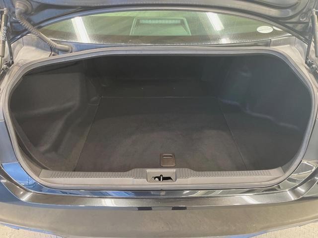 26731081_carP_l_2.jpg