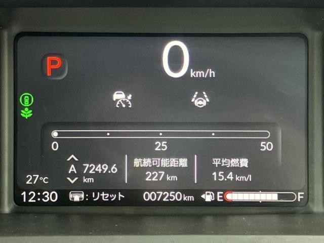 23326298_carP_l_19.jpg