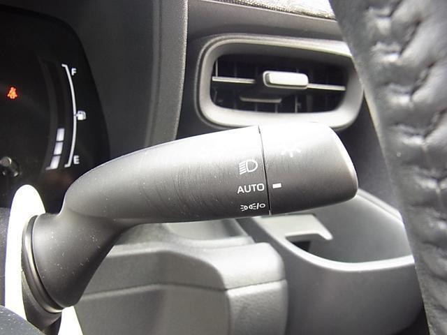 24476170_carP_l_7.jpg