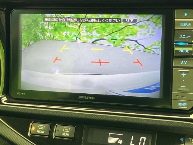 24035447_carP_l_6.jpg