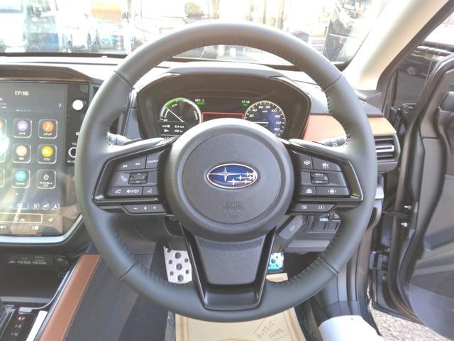 25627323_carP_l_17.jpg