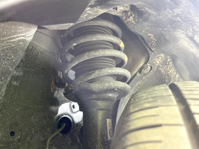 23864992_carP_l_20.jpg