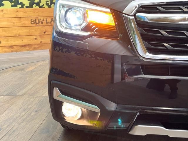 24891701_carP_l_6.jpg