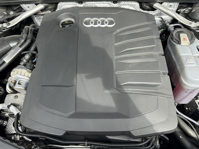 22481197_carP_l_12.jpg