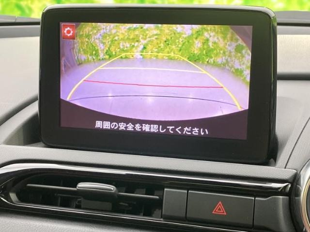 26287069_carP_l_6.jpg