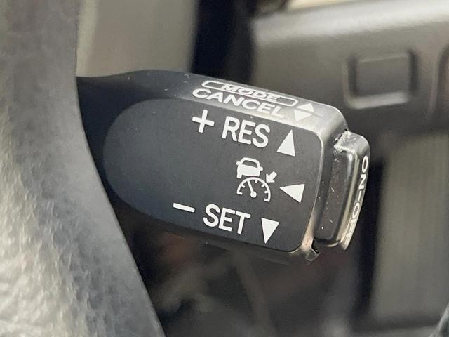 26751006_carP_l_14.jpg