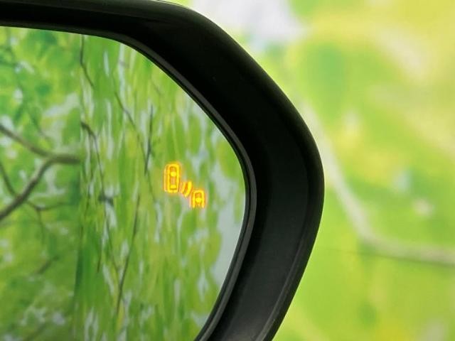25163350_carP_l_11.jpg