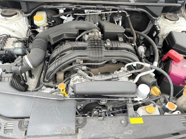 25035743_carP_l_16.jpg