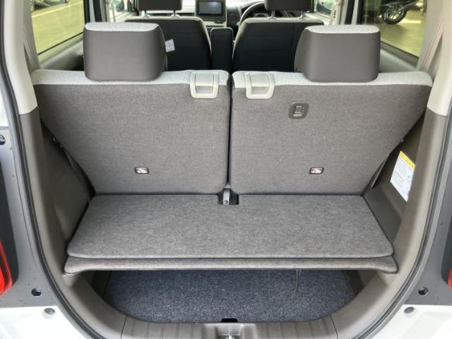 22950318_carP_l_17.jpg