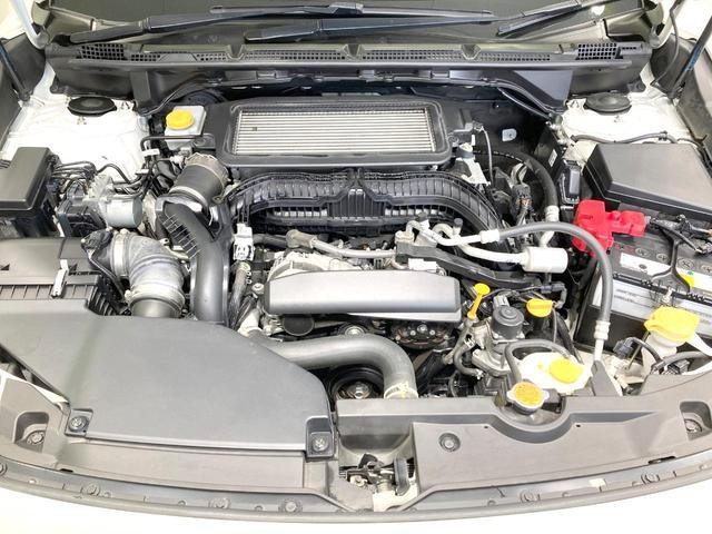 24767893_carP_l_16.jpg