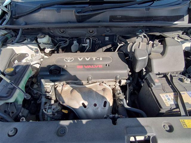 08.jpg