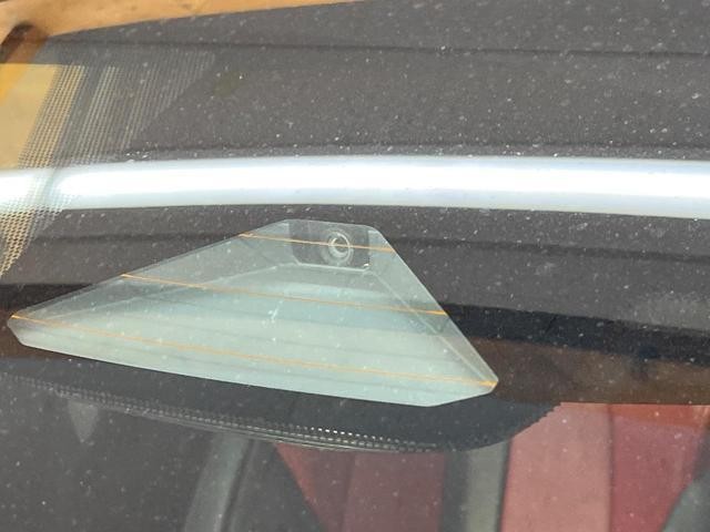 24481336_carP_l_13.jpg