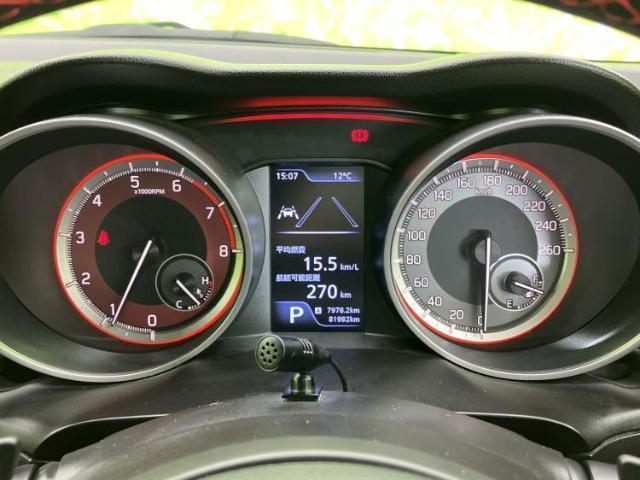 22804557_carP_l_7.jpg