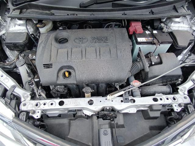 08.jpg