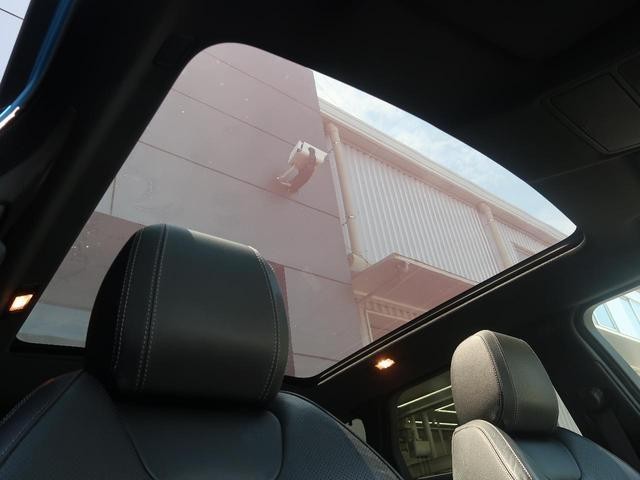 25774450_carP_l_10.jpg